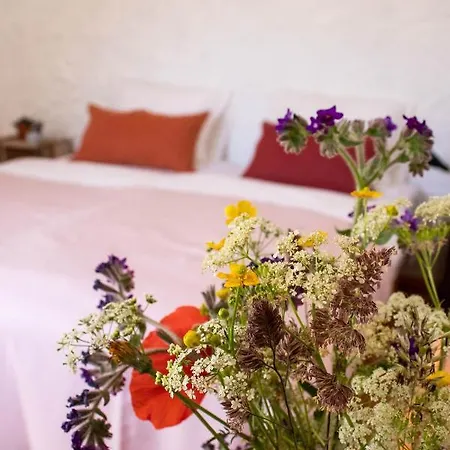 Ophold Pa Rodegaard Hotel