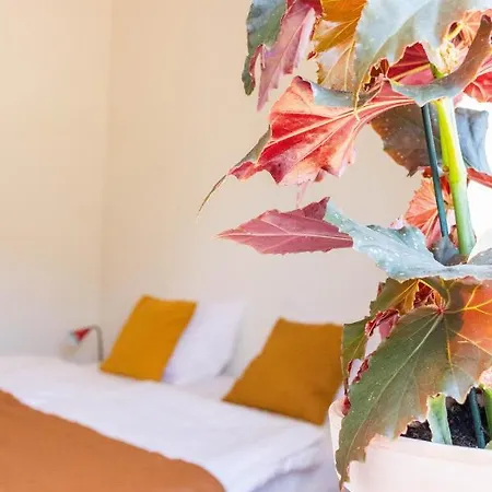 Hotel Ophold Pa Rodegaard *