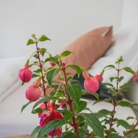 Ophold Pa Rodegaard Hotel