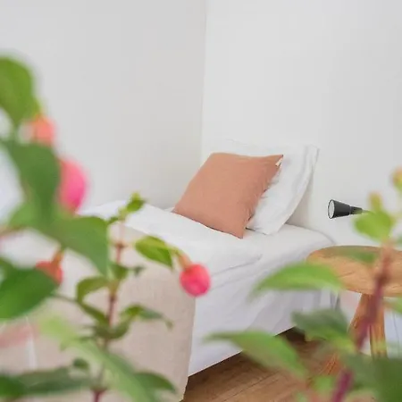 Ophold Pa Rodegaard Knebel