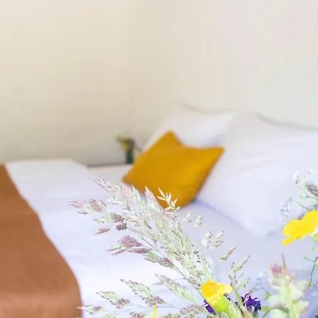 Ophold Pa Rodegaard Knebel