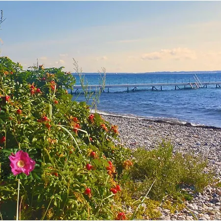 Hotel Ophold Pa Rodegaard Knebel