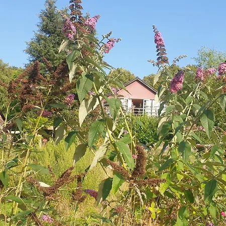 Hotel Ophold Pa Rodegaard Knebel