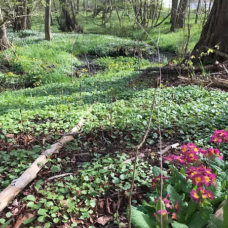 Hotel Ophold Pa Rodegaard Knebel