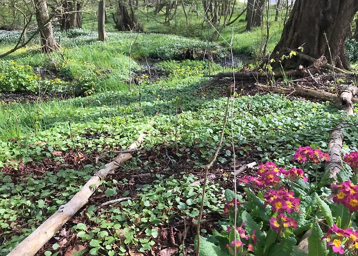 Hotel Ophold Pa Rodegaard Knebel